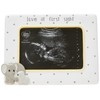 Precious Moments Elephant Love at First Sight Ultrasound 4 x