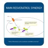 Maac10 Nmn Resveratrol Nad+ Cápsulas Trans-resveratrol