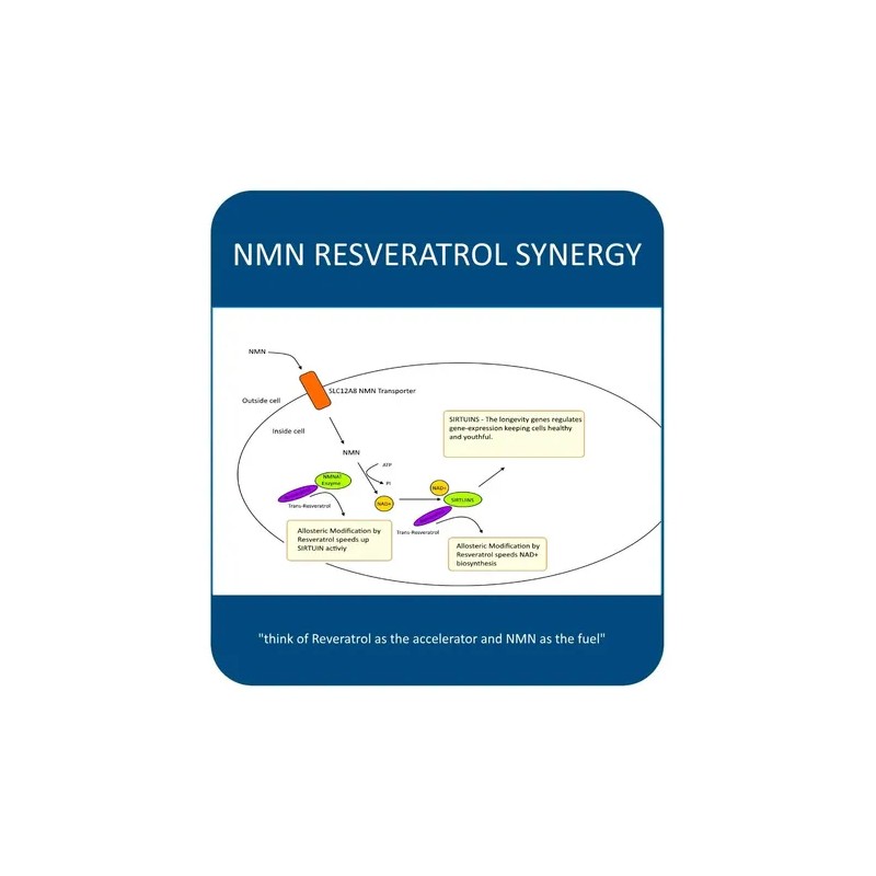 Maac10 Nmn Resveratrol Nad+ Cápsulas Trans-resveratrol