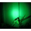 WONDSUNSON 2 x Green Light Pen Type Penlight Flashlight One