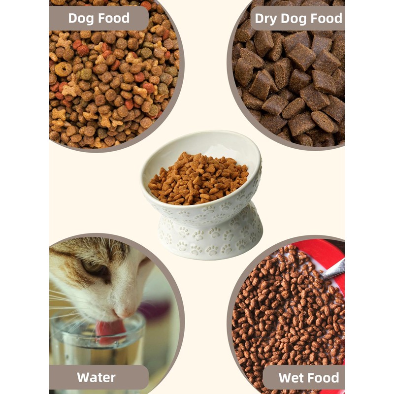 Ceramic Tilted Elevated Small Cat Bowl, for Fat Faced Cat,