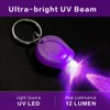 RaySoar 6 Pack Mini UV LED Keychain, 395nm UV Keychain