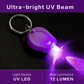RaySoar 6 Pack Mini UV LED Keychain, 395nm UV Keychain Flashlight, Keychain Light Black Light for Detections - Purple Shell