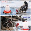 12in Chicken Warer Heater for Winter,5 Gallon Chicken Water Heated