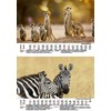 Tierzauber Africa DIN A5 Wall Calendar for 2024 Various Animals