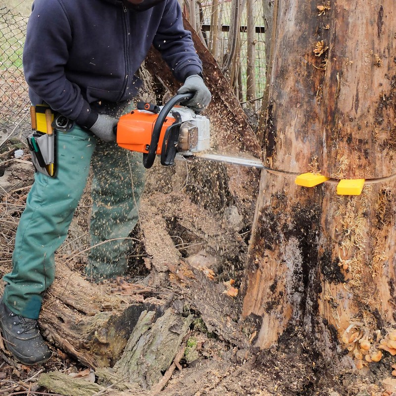 Yardmaris Felling Wedge Pouch, Adjustable Various Belts Logging Belt, Tree