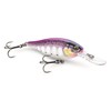 Rapala SRE55GDPD: Shad Rap Elite 55 Gilded Purpledescent
