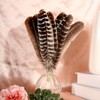 THARAHT 24pcs Natural Wild Turkey Wing Feathers Quill Bulk 10-12inch