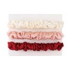 Michooyel Paquete De 3 Minicoleteros De Seda Para El Cabello,