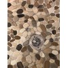 Designer Drains 4 Inch Round Shower Drain Strainer, Octopus Design