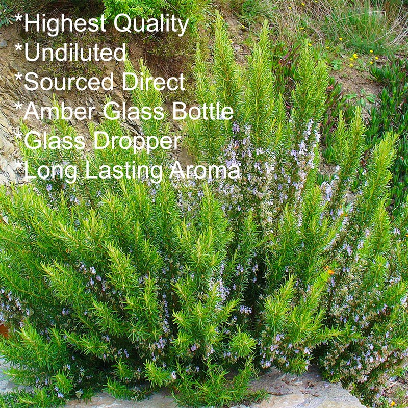 Feelia - Rosemary Essential Oil - 100% Pure & Natural,
