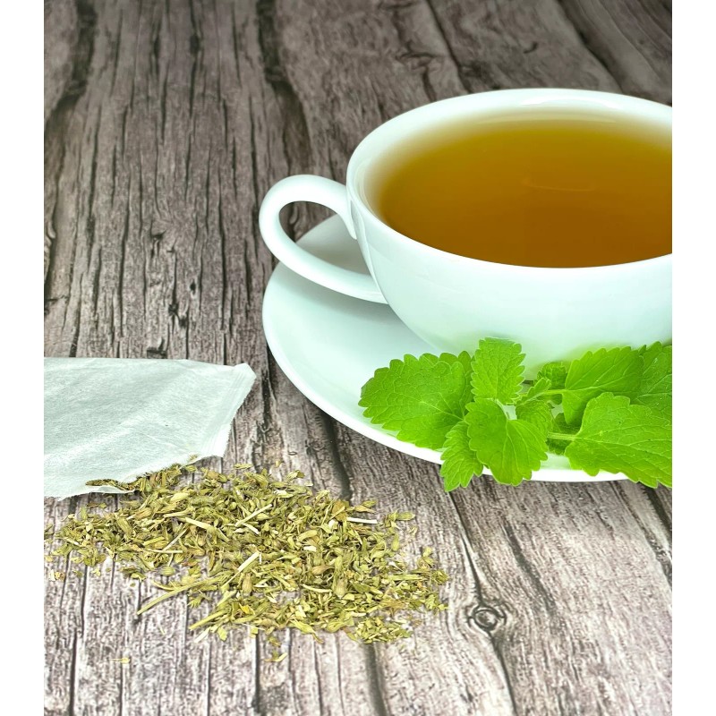 Undisclosed Catnip Tea by Palm Beach Herbals | 30ct, Caffeine-Free