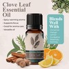 Calmer Solutions Clove Leaf Essential Aromatherapy Oil 10ml