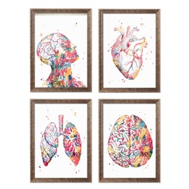 Human Anatomy Print Set Human Head Torso Wall Art Heart Artworks Lungs Wall Decor Brain Doctor Office Decor Medical Art Nurse Room Decor Great Gift for Doctors