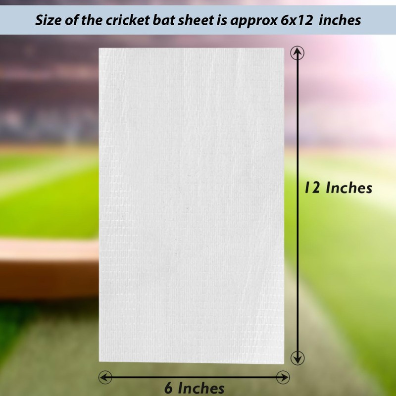 S & S PRODUCTS Pack of 2 Piece Transparent Cricket