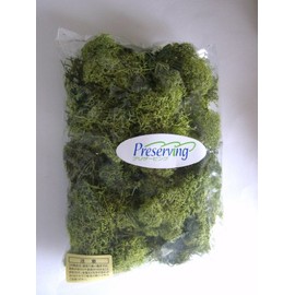 Iceland Moss, Spring Green, 1.4 oz (40 g) Pack