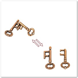 Sujosa 2pcs Metal Brain Teaser Puzzle, Assembly & Disentanglement Puzzles, IQ Logical Games, Fidget Stress Gift for Adults (Key)