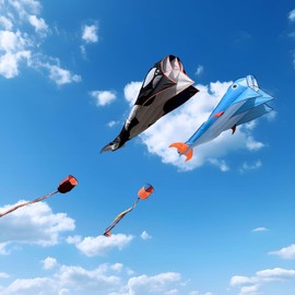 Kaiciuss Orcas Kite for Kids & Adults, Large 3D Single Line for Beach, Huge Frameless Soft Style, Giant Parafoil Whale Breeze Kite, it Comes with 300ft String Hoop