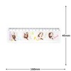 Dayan Cat Acrylic Ruler #2 Kururimpa