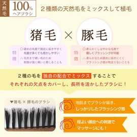 Beth VESS [Made in Japan] 100% Natural Pig Hair Made by a Long-established Commercial Manufacturer (Brush) by a Hairdresser (Non-Painful Brush) Outlet (S Type)