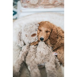 Rosewood MyDog Luxury Plush Dog Toy For Dogs, Stuff-Free Comfort Toy, Calming Dog Toy, 40cm