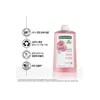 클로란 [민감두피&두피진정] 피오니 샴푸 400ml 2개 + 문어 괄사 증정