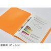 Lion Office Equipment PP Flat File Minano Black F-51M