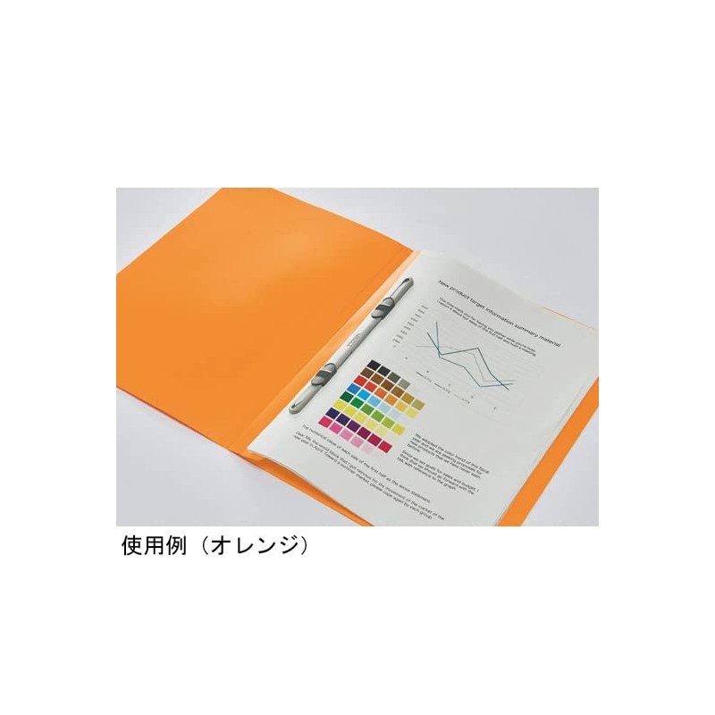 Lion Office Equipment PP Flat File Minano Black F-51M