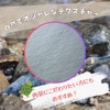 JP Number Turtle Drying Board, Food Plate, Turtle, Nail Sharpening