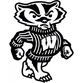 WISCONSIN BUCKY BADGER BLACK AND WHITE 12" Tall  DECAL