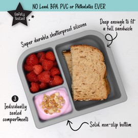 PrimaStella Unbreakable Silicone Lunch Box for Kids and Adults - Leak Proof Divided Bento Box (Stone)