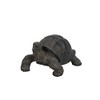 Hi-Line Gift Tortoise Statue, Small