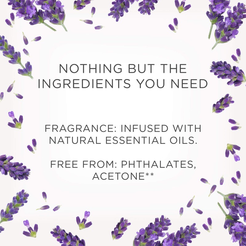 Airwick Scented Oil Warmer & Refill, Purple Lavender Meadow, 19