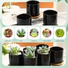 Cindeer 12 Pack Small Succulent Pots 3 Inch Ceramic Planter