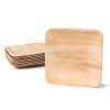 Box and Tree à Disposable Biodegradable Tableware, Pack of 100,