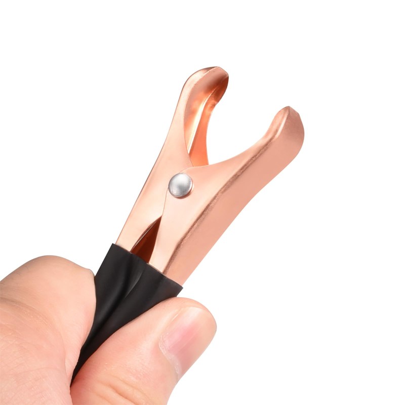 Rebower Alligator Clips Electrical Test Clamps, [for Charging and Testing
