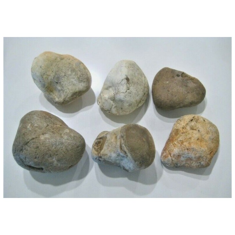 23 Lbs FLINT CHERT Stone for Flint & Steel Fire