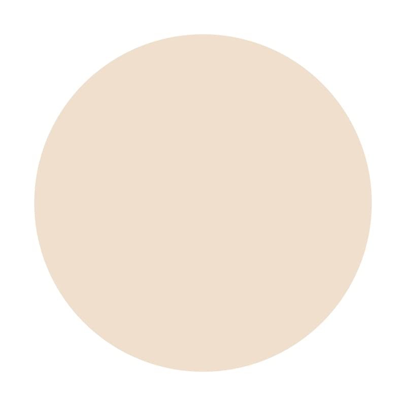 SDOTPMT Diameter 2 m Light Beige Round Background Lid Solid