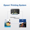 EPSON 202 Claria Ink High Capacity Black & Standard Color