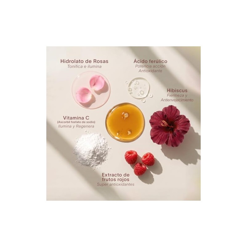 Antiox Boost Booster - Suero con Vitamina C, Ácido Ferúlico
