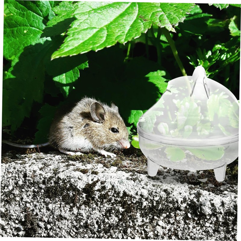 CIYODO Hamster Sand Bath Box for Small Pets and Splash