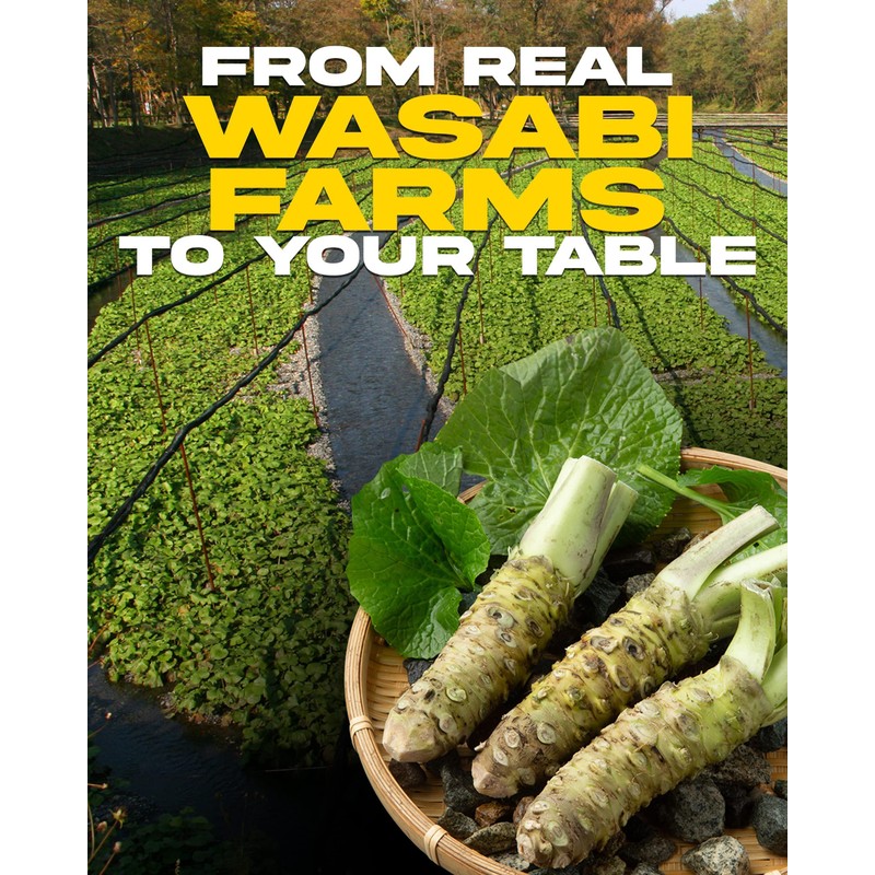 Wasabi-O Hot & Spicy Wasabi Sauce – Real Japanese Wasabi