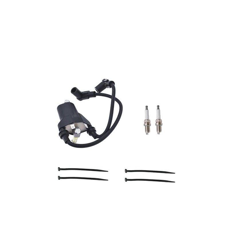 INPWOC Ignition Coil Pack & spark plug + Cap For