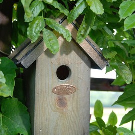 Wren Bird House Box Birdhouse - Wooden w Apex Bitumen Roof - 100% FSC