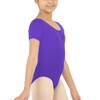 P&R Dance Wear LTD Girls Shiny Short Sleeve Dance School