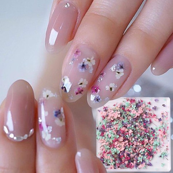 3D Dried Flowers for Nails Tip -1Box Dried Flower Nail