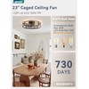 23" Black Gold Caged Low Profile Ceiling Fan with Light