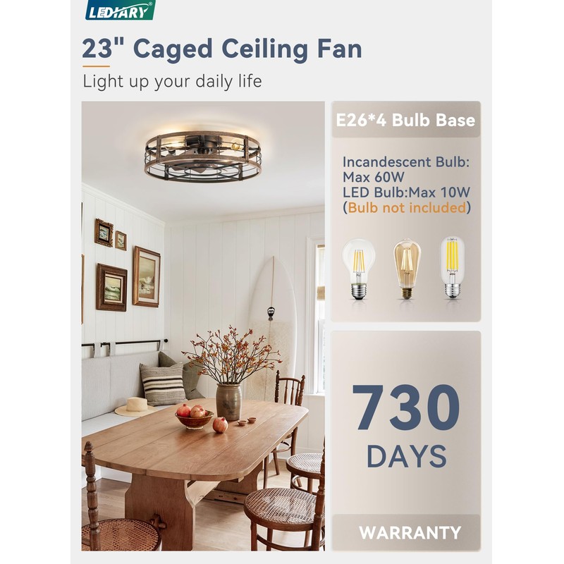 23" Black Gold Caged Low Profile Ceiling Fan with Light