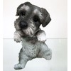 Toyo Stone Creation Animal Object Dog Ornament Schnauzer 14205