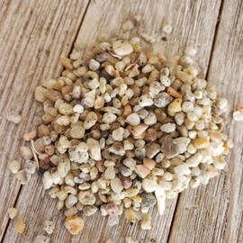 1 Lb 1/8 White Criva River Rock Cactus and Succulent Top Soil Dressing Cacti Cactus Succulent Real Live Plant